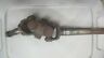 814819a2 59829a1 59830a5 Mercruiser Universal Joint Shaft Assembly Alpha Mr