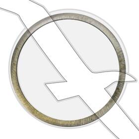 3852868 Johnson Evinrude Omc Marine/sterndrive Motor Shim Ring .100