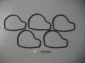 3852560 Volvo Penta Brp Water Passage Gasket Seal Oem Pack Of 5 Each