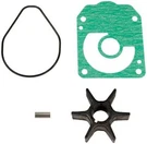 Sierra Marine 18-3285 Impeller Kit. Fixed Price $31.49.