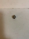 Genuine Nos Omc Screw 3853309 BX19. Fixed Price $12.95.