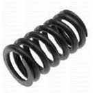 418737 Valve Spring Volvo Penta AQ130D AQ165 B18 B20 B30 Single Made Sweden. Fixed Price $9.30.
