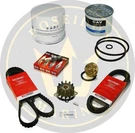 Service Kit For Volvo Penta AQ171 16V Ro: 3517857 3581078 875580 855506 966382. Fixed Price $199.90.