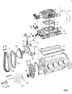 * #805987 Mercury Marine HOSE/205C. Fixed Price $23.83.
