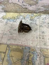 Volvo Penta #875791-6 Thermostat Kit.. Fixed Price $16.80.