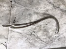 Harley Superstar 42 Boat Mercury Mercruiser Power Steering Hydraulic Lines Hoses. Fixed Price $92.07.