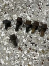 Bolts Lot Omc Cobra 0913117 Timing Belt Covers 2.3L 1987-1990 0913118. Fixed Price $19.00.
