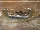Nos Oem Mercruiser Water Tube Part Number 32-86907A Free Shipping. Fixed Price $9.49.