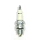 New Spark Plug Fits Johnson/evinrude 1 Cyl 2.2 Hp Dt 5 By QL87YC-SP. Fixed Price $146.48.