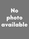 New! Volvo 122 Glyco Engine Crankshaft Main Bearing Set 271216. Fixed Price $97.00.
