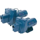 Berkeley Projet Sn Shallow Well Pump 1HP 115/230V 1PH Cast Iron. Fixed Price $1399.99.