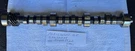 Mercruiser 4.5 Camshaft 400-8M0095922. Fixed Price $100.00.