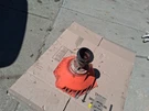 835978 Volvo Penta Aq Series Flywheel Bell Housing With 26/26 Spline Spindle. Fixed Price $250.00.