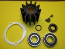 Rebuild, Repair Kit For Johnson F6B-9 Raw Water Impeller Pump 812B Bearings Seal. Fixed Price $49.95.