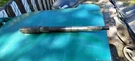 Trs Mercury Quicksilver Mercruiser 44-92328 Rh Propshaft 92328T1 Nla Used. Fixed Price $349.00.