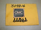 (6) Genuine Omc Johnson Evinrude Screw 309816. Fixed Price $12.95.