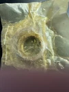 Quicksilver Mercury Drive Shaft Nut 11-41527T New Oem Nos. Fixed Price $8.89.