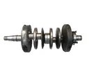 Johnson Evinrude Omc 378189 Crankshaft - Used. Fixed Price $41.95.