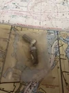 Volvo Penta Pack Of #955295-1 Screw / Do.. Fixed Price $6.00.